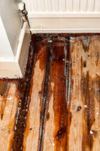 Water Damaged Flooring