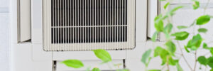 Ceiling air conditioner in modern office or at home with green ficus plant leaves an idea of clean air. Indoor air quality concept