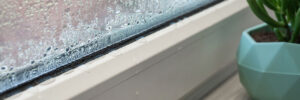 Moisture on window in home