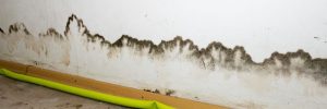 flooding rainwater or floor heating systems, causing damage, peeling paint and mildew.