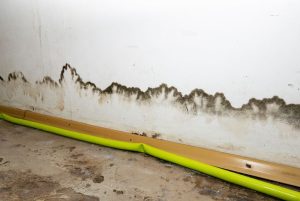 flooding rainwater or floor heating systems, causing damage, peeling paint and mildew.