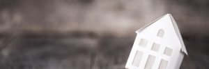 Lead based home inspections