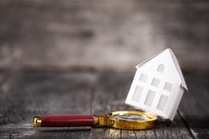 Lead based home inspections